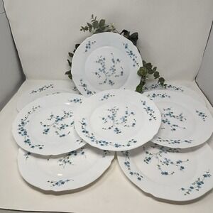 8 Arc Arcopal France Veronica Blue Flower Scalloped Rimmed Dinner Plates 10"